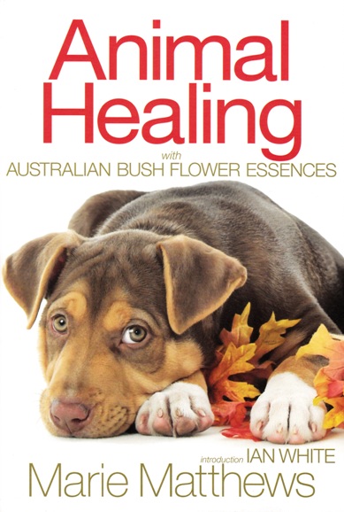 Animal Healing with Australian Bush Flower Essences Image for Animal Healing with Australian Bush Flower Essences