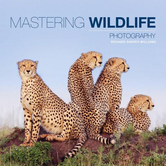 Image for Mastering Wildlife Photography