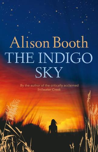Image for The Indigo Sky [used book]