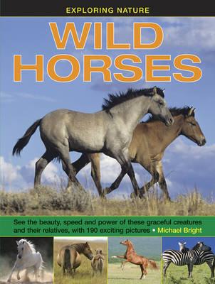 Image for Exploring Nature Wild Horses: Discover the beauty, speed and power of these graceful creature and their relatives