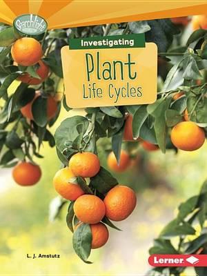 Image for Investigating Plant Life Cycles # Searchlight Books What Are Earth's Cycles?
