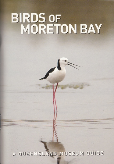 Image for Birds of Moreton Bay: A Queensland Museum Pocket Wild Guide