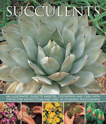 Image for Succulents: An illustrated guide to varieties, cultivation and care, with step-by-step instructions and over 145 stunning photographs