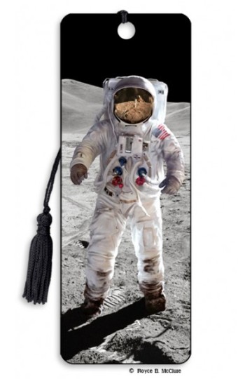 Image for Moon Walk 3D Bookmark