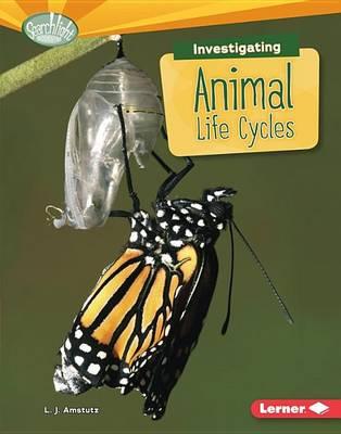 Image for Investigating Animal Life Cycles: Searchlight Books What Are Earth's Cycles?