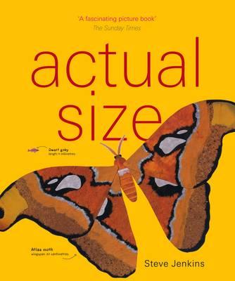 Image for Actual Size