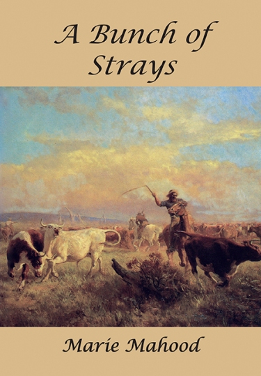 Image for A Bunch of Strays