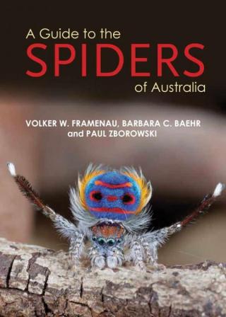 Image for A Guide to the Spiders of Australia