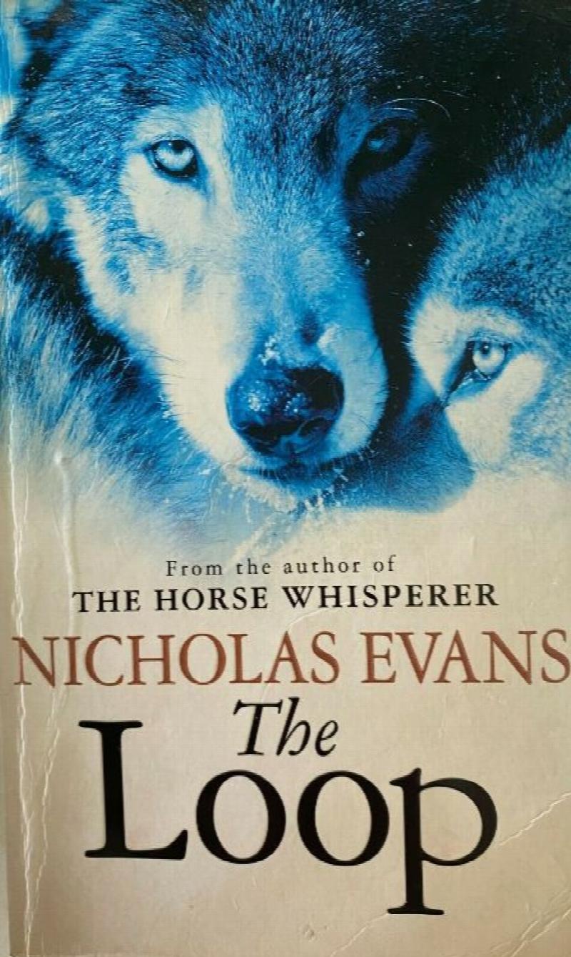 The Loop [used book]