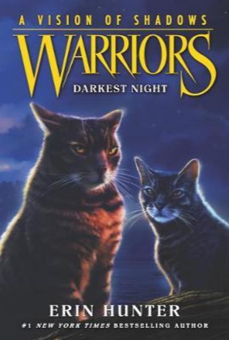 Darkest Night 4 Warriors A Vision