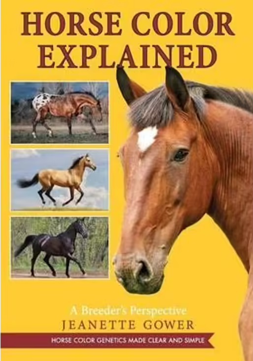 Horse Color Explained A Breeder's Perspective