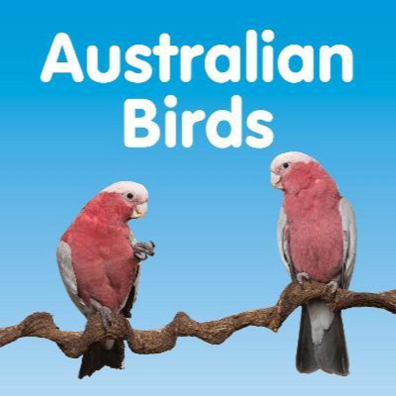 Australian Birds Board Book Australian Birds Board Book