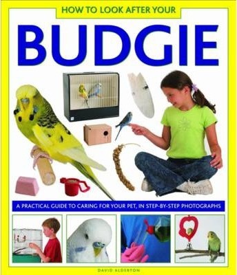 Image for How to Look After Your Budgie: A Practical Guide to Caring for Your Pet, in Step-by-step Photographs