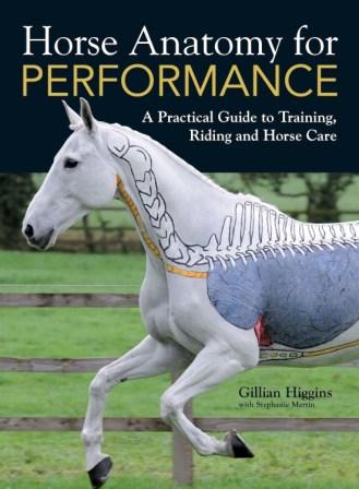 Image for Horse Anatomy for Performance: A Practical Guide to Training, Riding and Horse Care