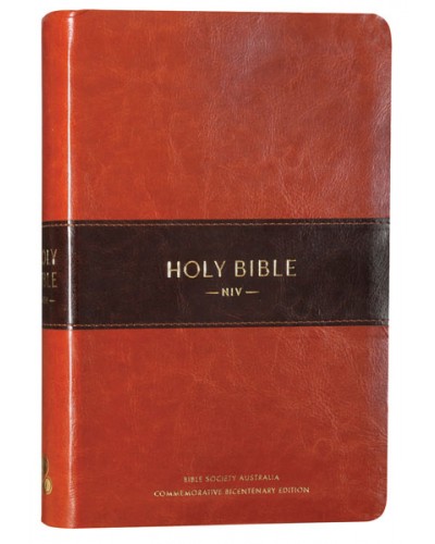 Image for NIV Bible Bicentennial Edition Deluxe Brown