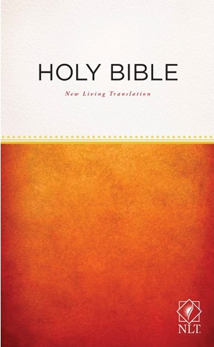 NLT Holy Bible, Economy Outreach Edition – Trade Paperback, New Living Translation, Tyndale (Good Condition)